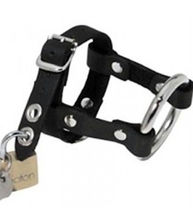 Cockring et ball ring