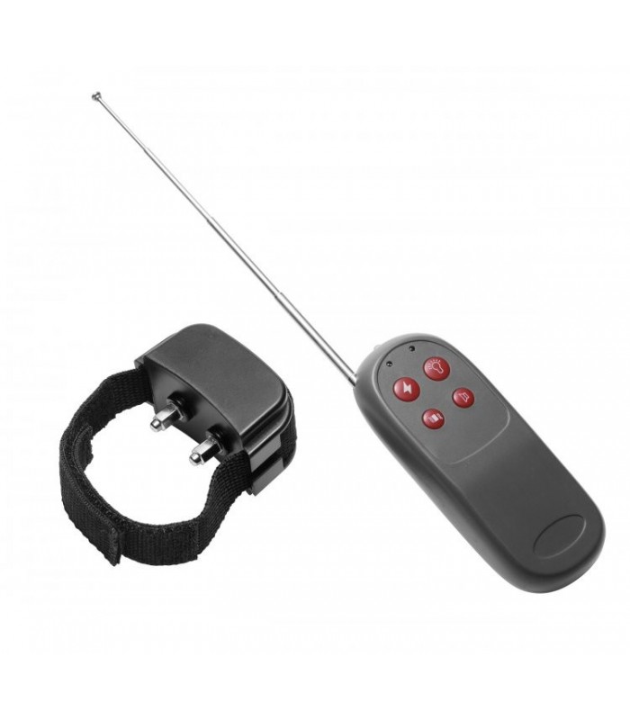 Cock Shock Remote CBT - Electro Cockring