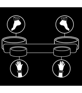 Sangle d'Attache Pieds et Mains