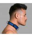 Collier-chien-Neoprene-Dogtraining-gay-shop