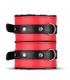 Box Bondage Accessoires Red Dragon