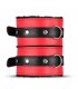 Box Bondage Accessoires Red Dragon