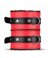 Box Bondage Accessoires Red Dragon