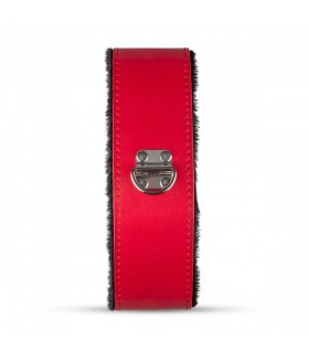 Box Bondage Accessoires Red Dragon