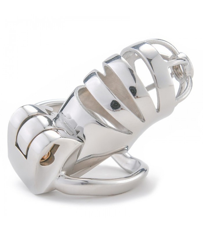 Cage chasteté Homme LOCK Ring