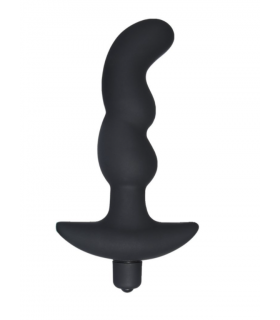 Plug Anal Vibrant pour Homme