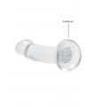 Gode Anal Dick Crystal Lisse 17x3cm