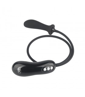 Plug Gonflable et Vibrant Curve