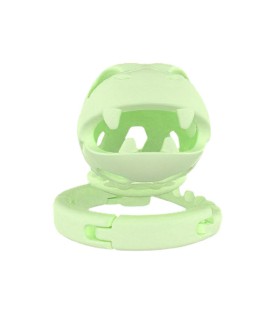 Cage de Chasteté Résine Dragon Vert