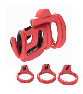 Cage de Chasteté Rigide pour homme gay