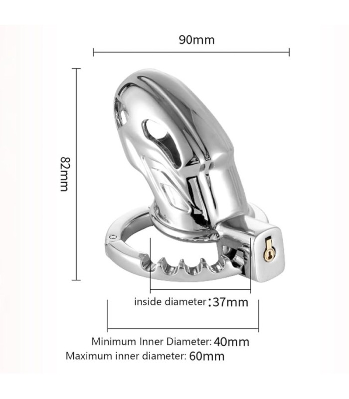 Cage de Chasteté Métal Homme gay