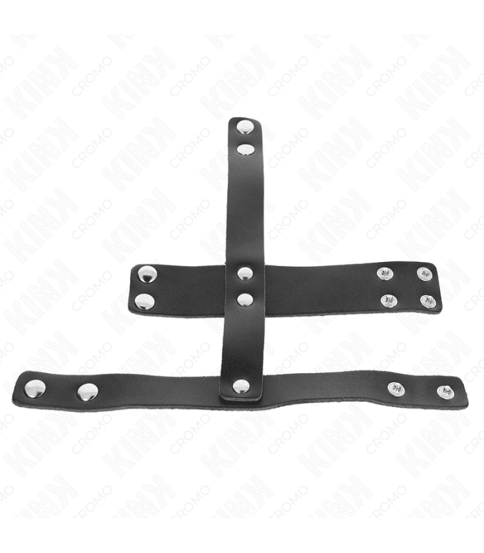 Cage à Pénis Cuir Noir Kink