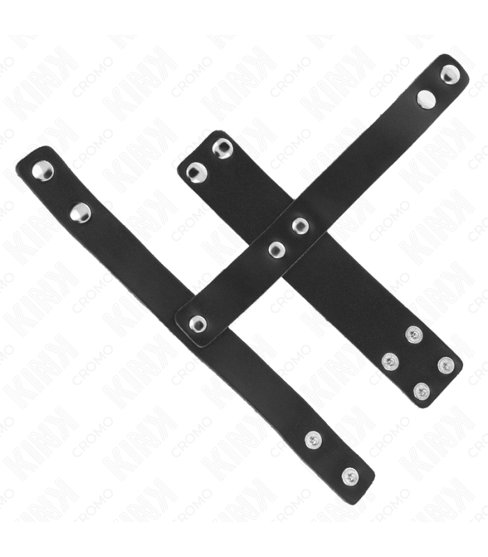 Cage à Pénis Cuir avec Séparateur de Testicules