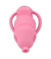 Cage à Pénis en Silicone Souple