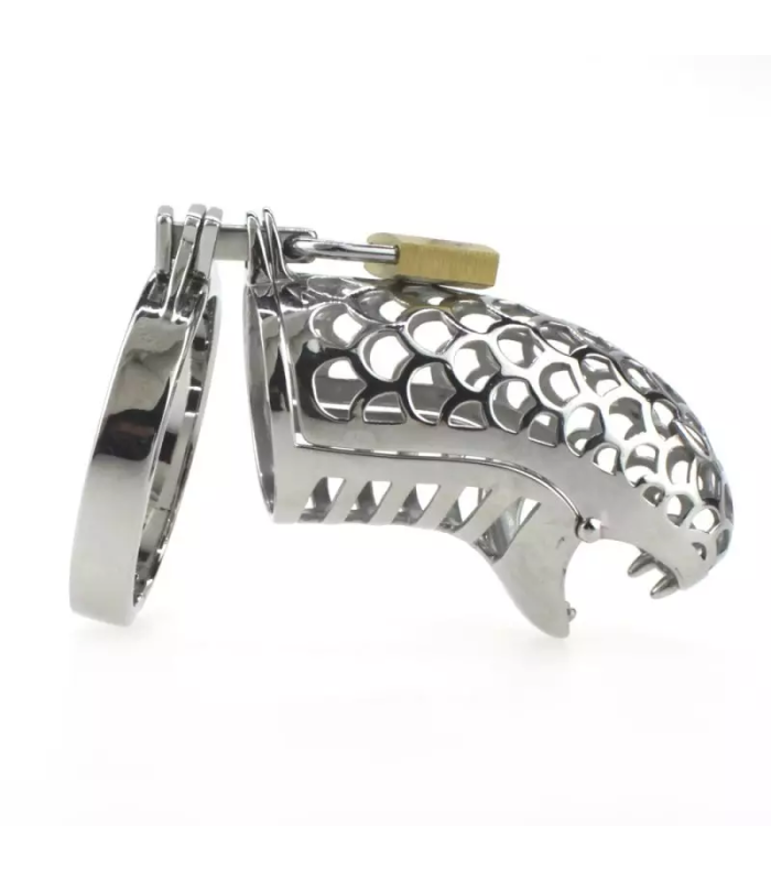 Cage chasteté Homme SNAKE Steel