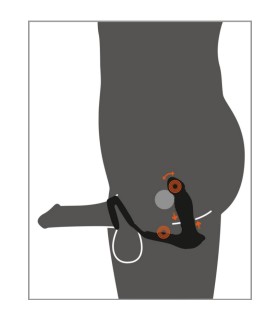 Stimulateur de Prostate Vibrant et Va et Vient