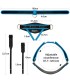 Gode Ceinture Creux XL Lovetoy 23x6,7cm