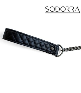 Ensemble en Cuir Collier et Laisse Sodorra