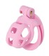 Cage à pénis courte Penis Prison Rose