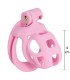 Cage chasteté Courte Rose