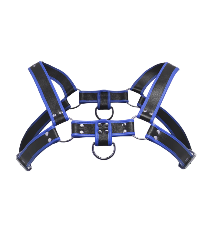 Harnais Masculin Bulldog Bleu Master Series