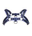 Harnais Masculin Bulldog Bleu Master Series