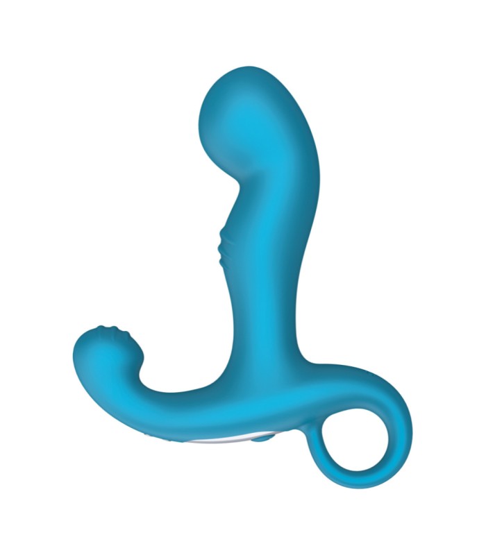 Stimulateur Vibrant de Prostate avec Télécommande