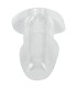 Tunnel Anal Transparent Anos