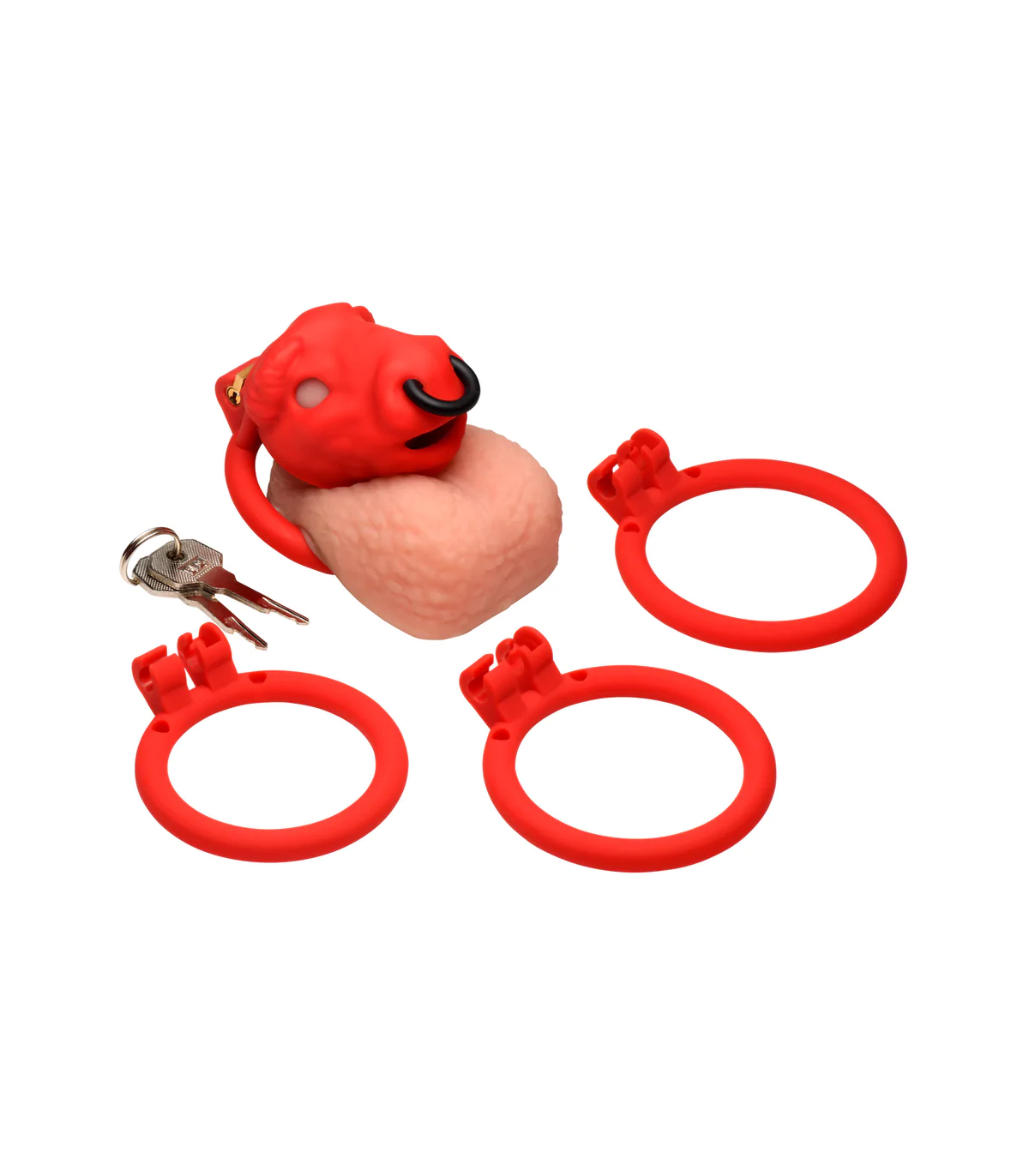 Cage de Chasteté Bull rigide gay