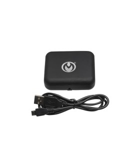 Pinces Tétons Vibrantes Master Series