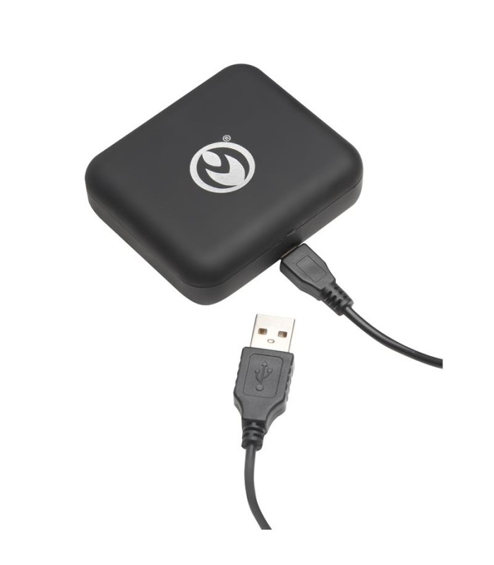 Pinces Tétons Vibrantes Master Series