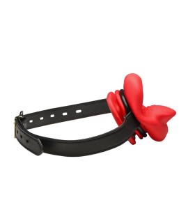 Baillon Bouche Sissy BDSM Vibrant