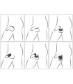 Lot de 6 Anneaux Extensible Cock & Ball