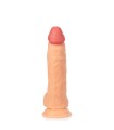 Gode Ventouse Large The Intense 20x5cm