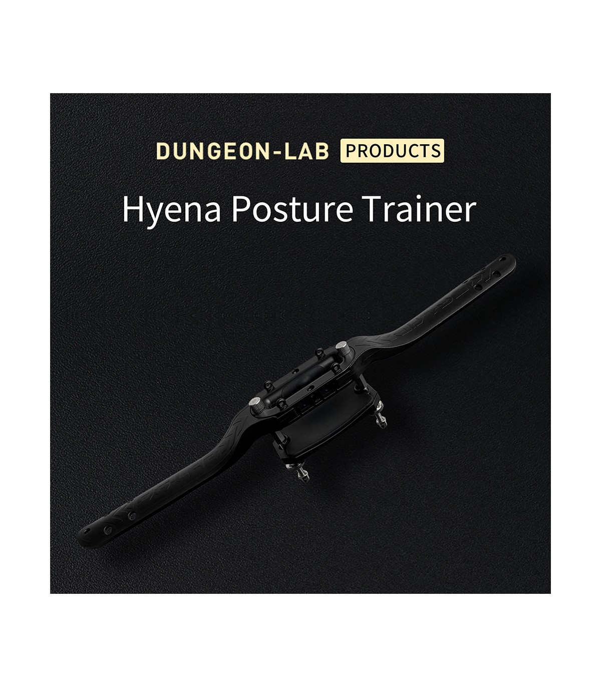 Humbler Électro DG Lab