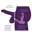 Stimulateur de Prostate Anal Fantasy Intimotion