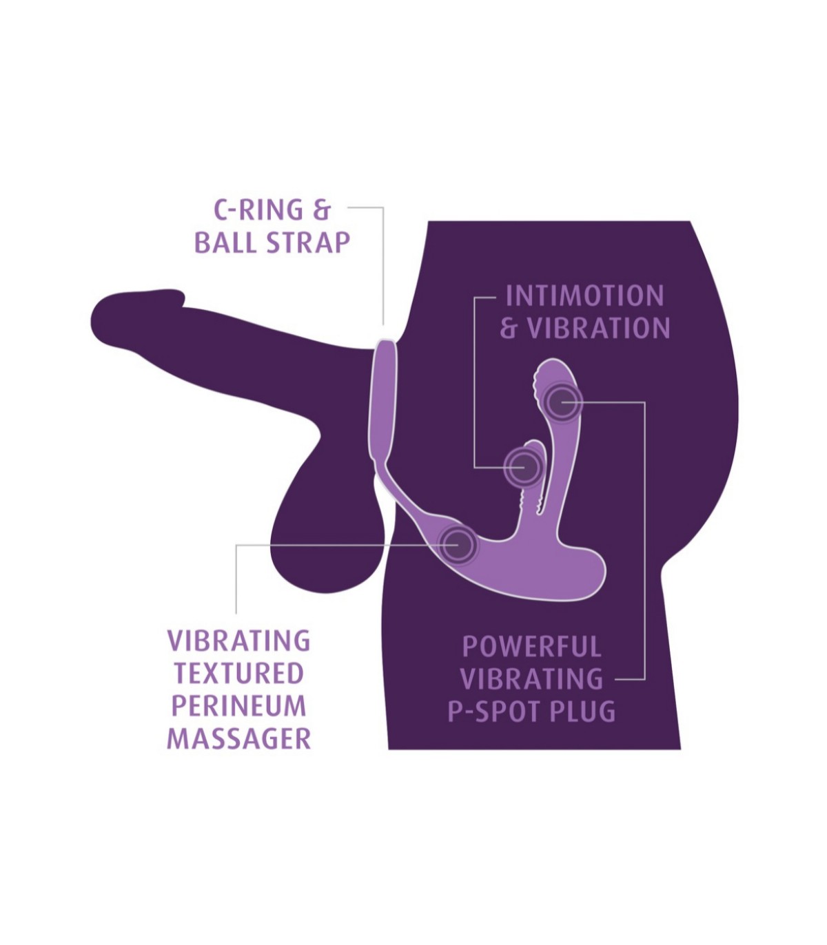 Stimulateur de Prostate Anal Fantasy Intimotion