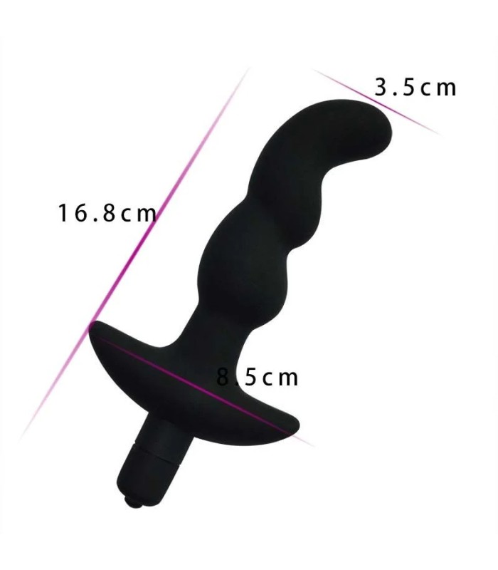 Plug Anal Vibrant pour Homme