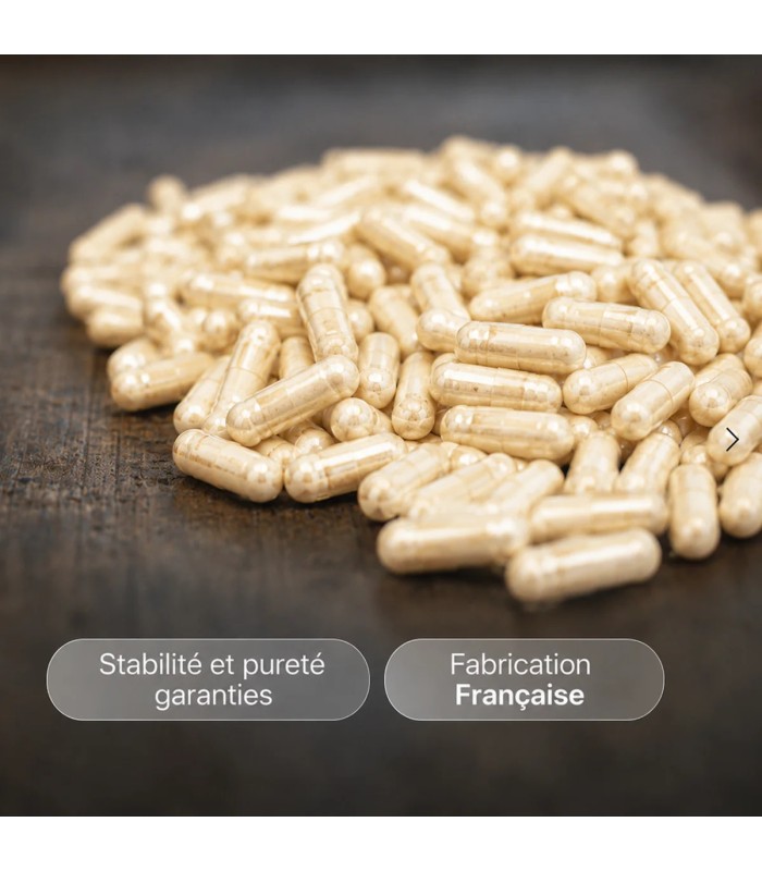 Perf Max Divinextases fabriqué en France