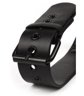 Laisse et collier Avanza en cuir pour styles audacieux