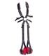 Balançoire BDSM Bad Kitty
