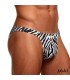 String zèbre sexy homme Jake Adalet