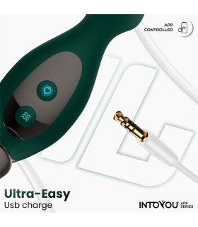 Stimulateur de Prostate Connecté Intoyou