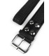 Collier et Laisse en simili cuir motif Croco